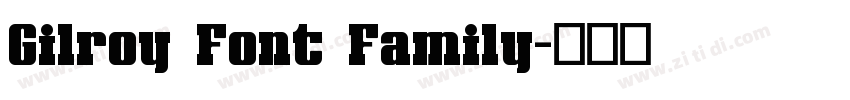 Gilroy Font Family字体转换